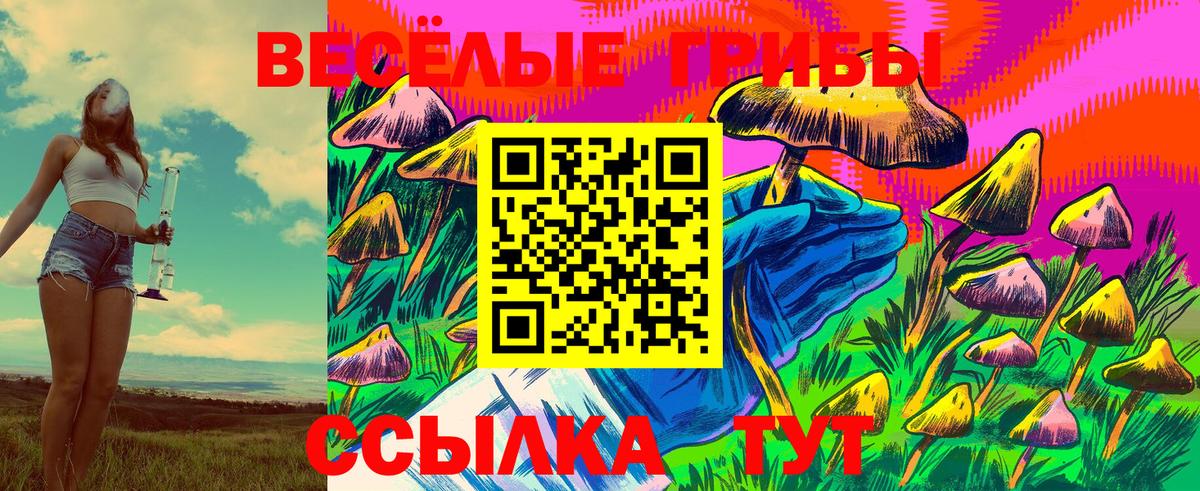 Псилоцибиновые грибы GOLDEN TEACHER Красногорск
