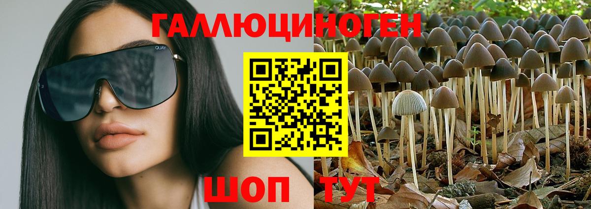 Галлюциногенные грибы мицелий  продажа наркотиков  Красногорск  Вход с VPN 